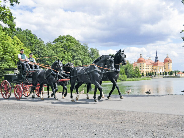Vierspänner vor Moritzburger Schloss - to the subpage: Moritzburg State Stud