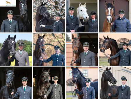 Zuchtberatung in der Sächsischen Gestütsverwaltung - zum Beitrag