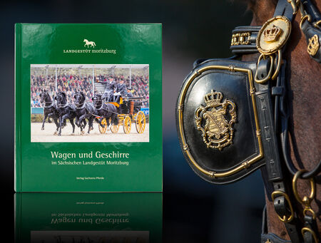 Buchvorstellung Autorenlesung Landgestüt Moritzburg