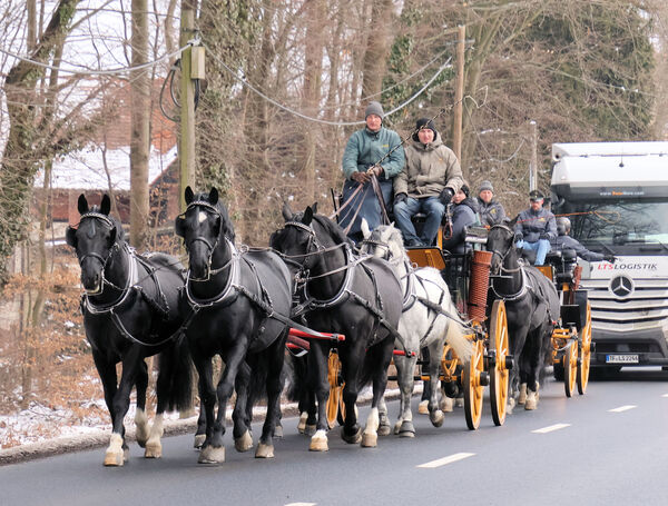 Sechserzüge auf dem Weg von der Reithalle zum historischen Gestüt 