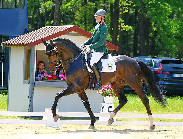 Reiter und Pferd im Trab