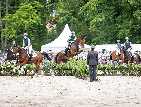 mehrere Reiter und Pferde am Sprung über Hecken