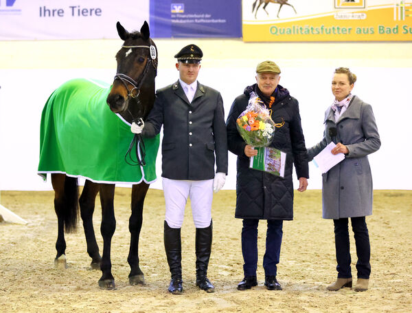 Hengstpräsentation Reitpferde Moritzburg