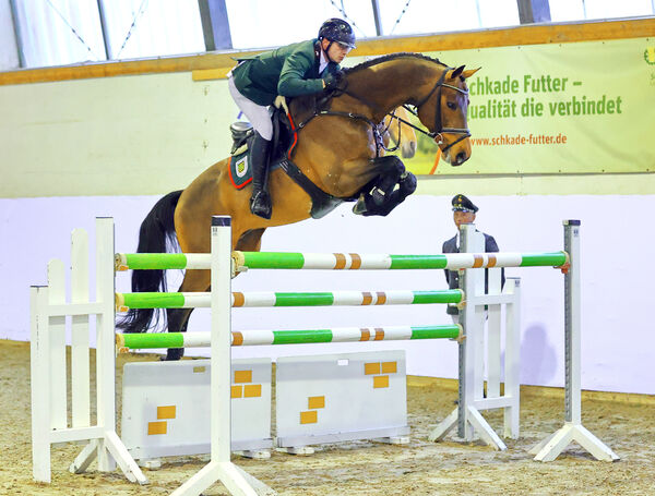 Hengstpräsentation Reitpferde Moritzburg
