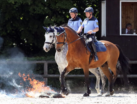 Sächsische Polizeireiterstaffel
