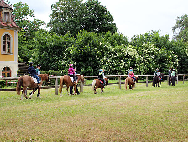 Kinder auf Ponys reiten über eine Wiese