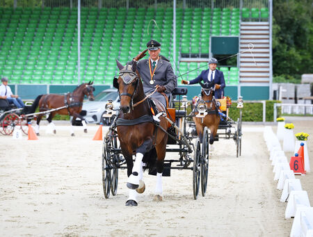 Bronze für LANCELO im Bundeschampionat - to the article