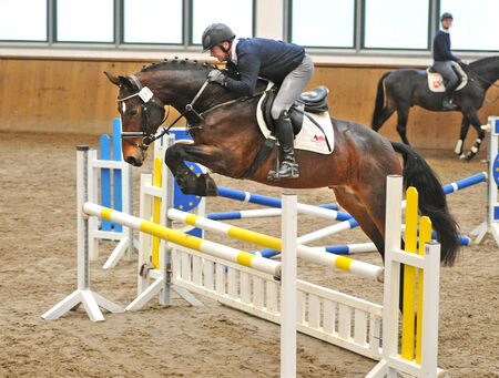 Hengstleistungsprüfung Neustadt Dosse 2020