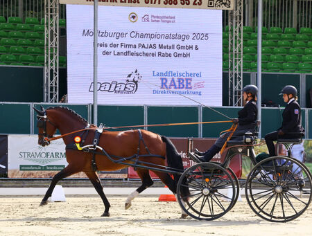 Gold und Silber zum Start ins Bundeschampionat - zum Beitrag