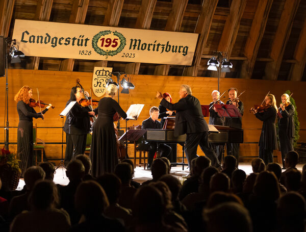 Musik und Hengste 2025