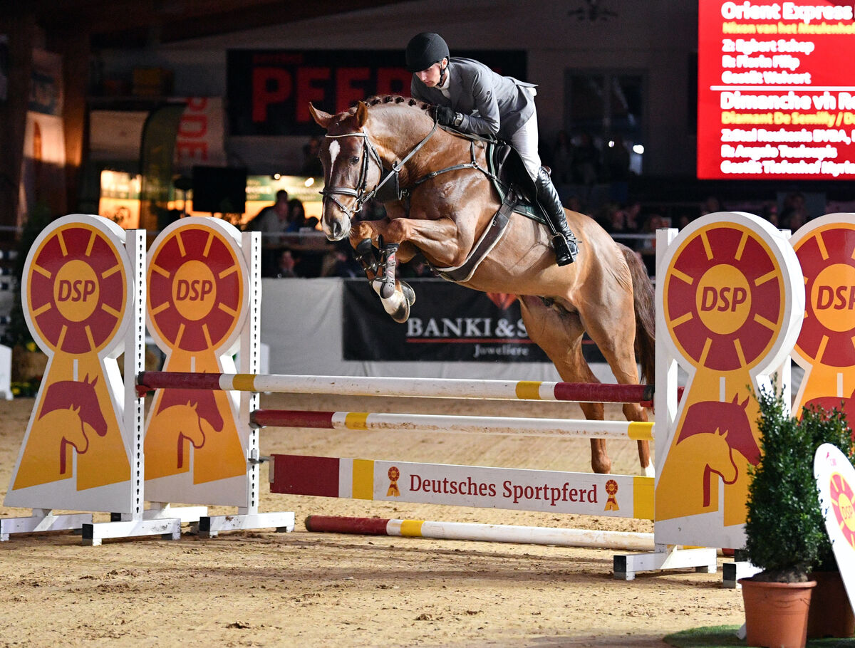 ORIENT EXPRESS ES absolviert Sporttest mit 8,53: SGV - Sächsische ...