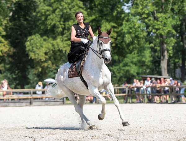 Gestütsschau Hauptgestüt Graditz 2022