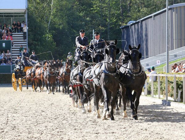 Dritte Moritzburger Hengstparade 2024