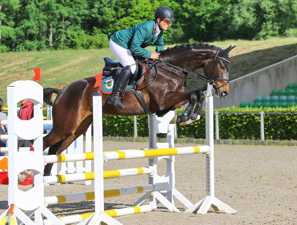 Jungpferdetag Moritzburg