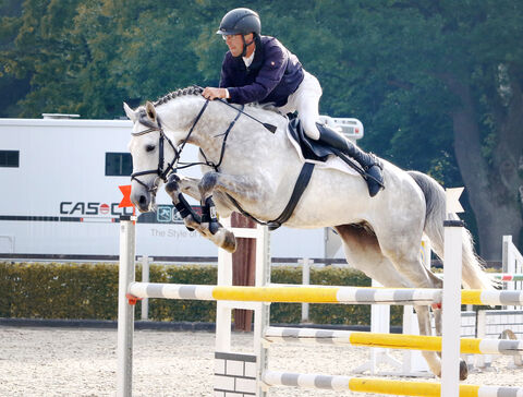 Landgestüt Moritzburg Pferdesport