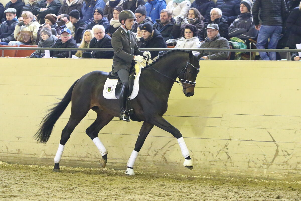 Freiherr von Stein beeindruckt zur Körung SGV Sächsische
