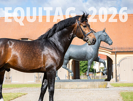 Freie Plätze zum Equitag 2026 - zum Beitrag