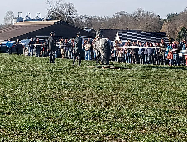 Viele Menschen stehen am Rand einer Wiese