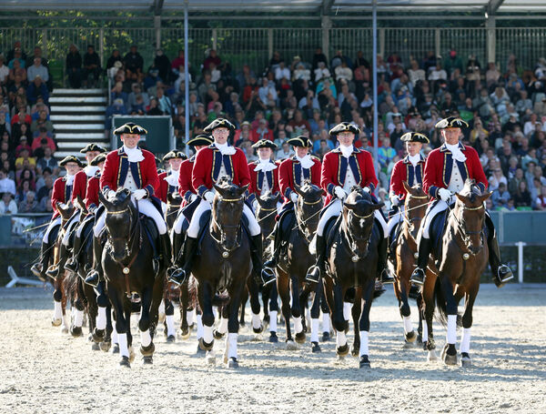 Dritte Moritzburger Hengstparade 2024