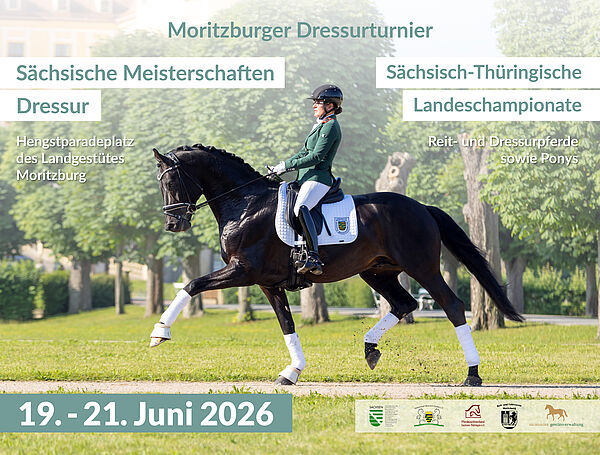 Ein schwarzes Pferd mit Reiterin trabt vor einem Schloss.