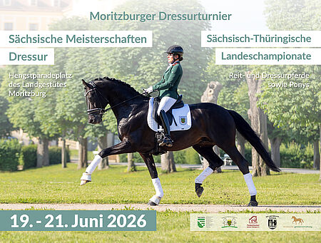 Sächsische Meisterschaften Dressur im Landgestüt - zum Beitrag