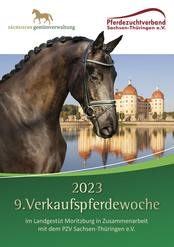 Katalog Verkaufspferde 2023 Moritzburg