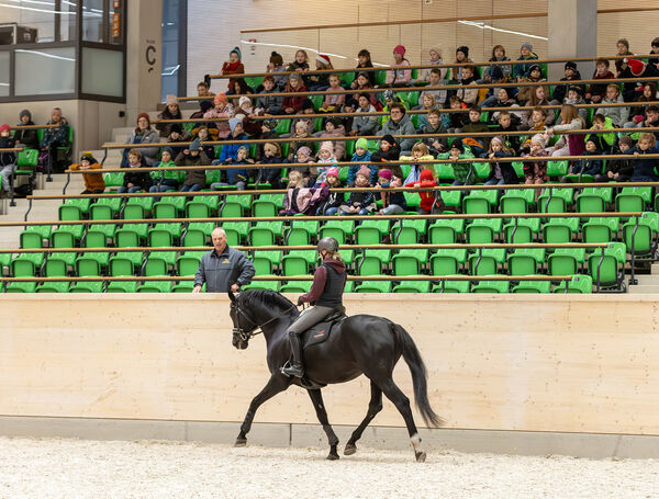 Kinder-Kunst-Tag im Landgestüt Moritzburg