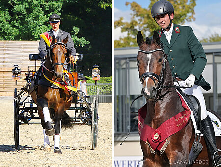 CÄSAR, LANCELO und VITARUS stellen Championatssieger - zum Beitrag