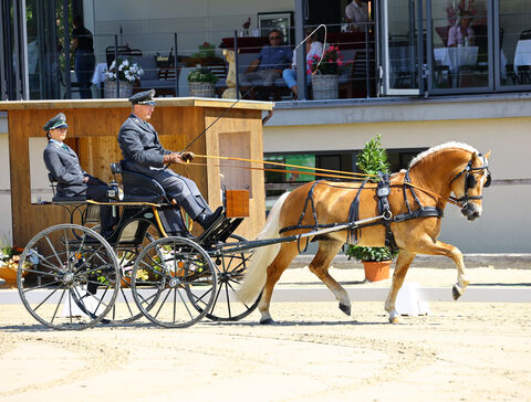 Bugatti Bundeschampionat Moritzburg