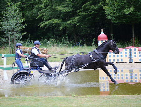 LORIOT wird WM Finalist