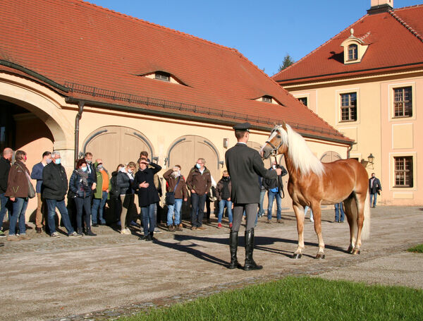 Arbeitskreis Pferdebetrieb im Landgestüt Moritzburg