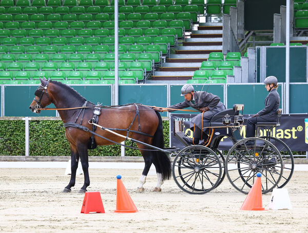 Bundeschampionat Moritzburg 2025