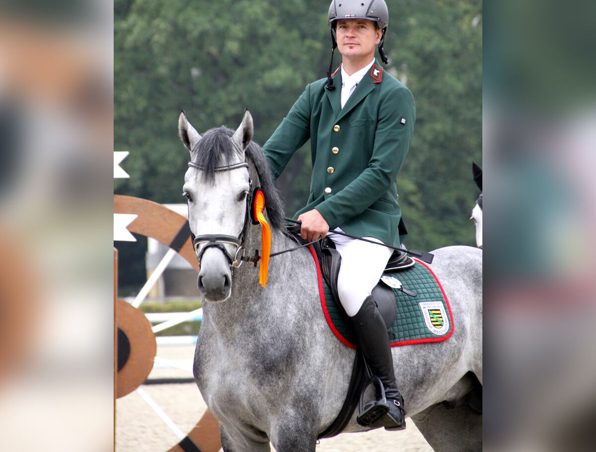 Sieg für EDITION in Kl. A**, OSKARI platziert SGV Sächsische