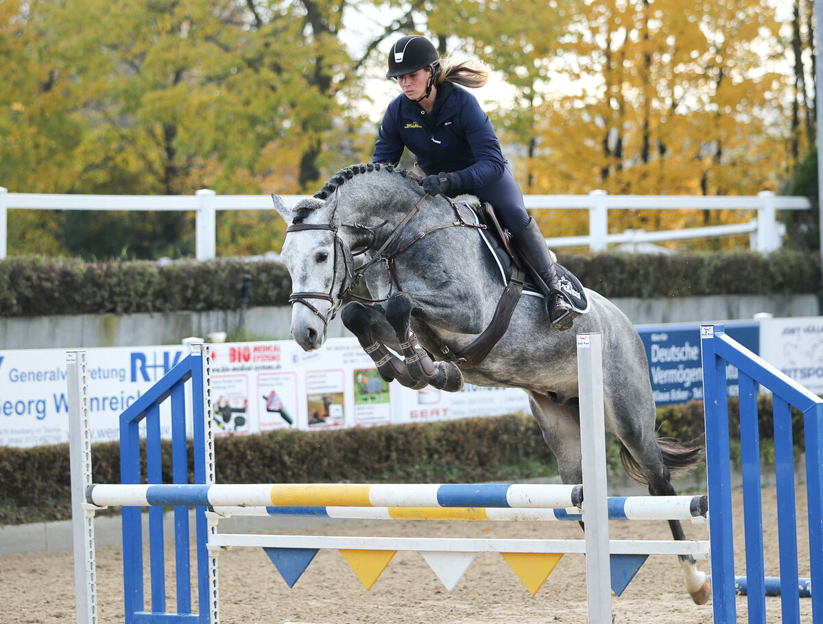 EDITION wird Landbeschäler SGV Sächsische Gestütsverwaltung