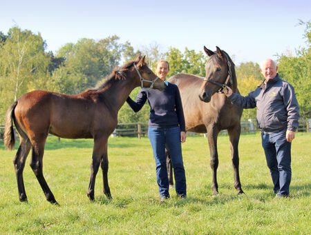 Gestütsleitung Hauptgestüt Graditz