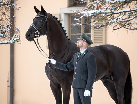 Bloomwell an der Hand von Richard Jordan im Schnee