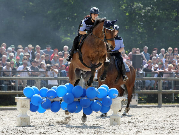 Sächsische Polizeireiterstaffel
