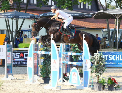 Landgestüt Moritzburg Sportpferd Turniererfolg