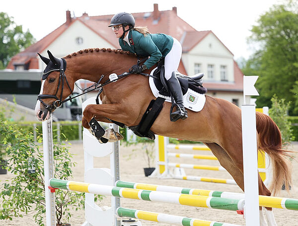 Pferd und Reiter am Sprung