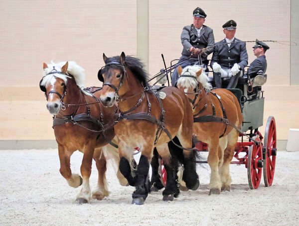 Viererzug: Magnus, Hans im Glück, Urmel, Balou 