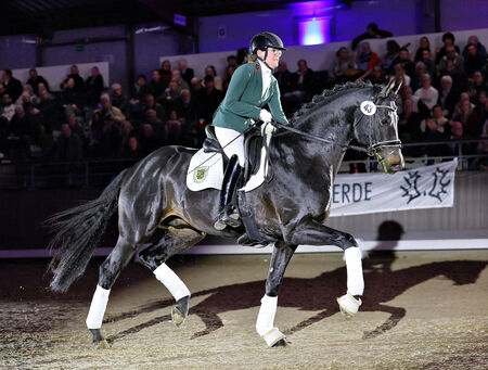 KENSINGTON PALACE zur 27. Trakehner Hengstschau - zum Beitrag