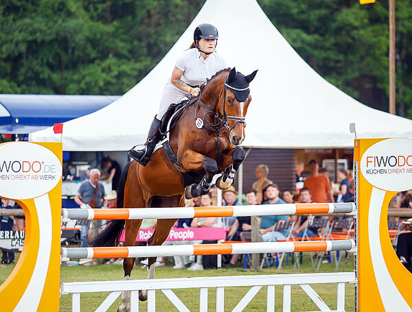 Reiter und Pferd am Sprung