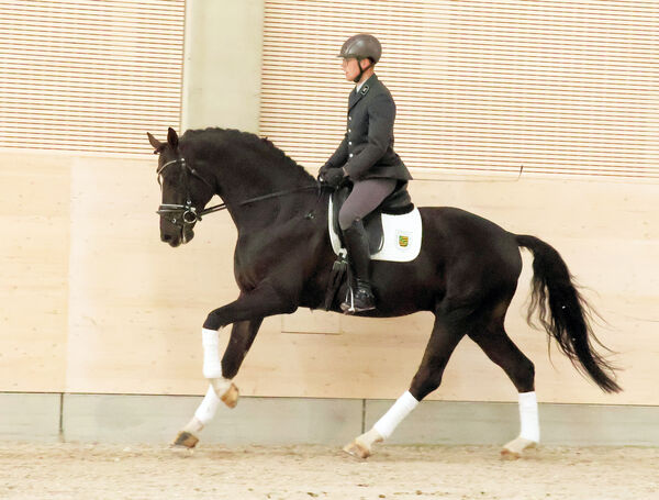 BOOM unter GW Ronny Thalmann