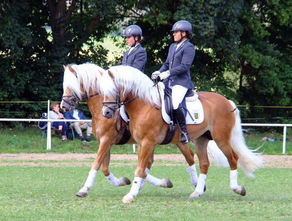Starino und Bugatti zur Sommergala in Meura