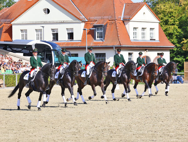 Moritzburger Hengstparade 2025