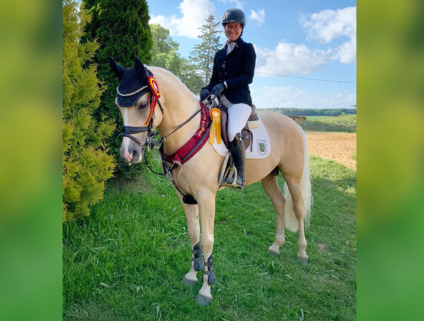 Landeschampion GRANDO Landgestüt Moritzburg