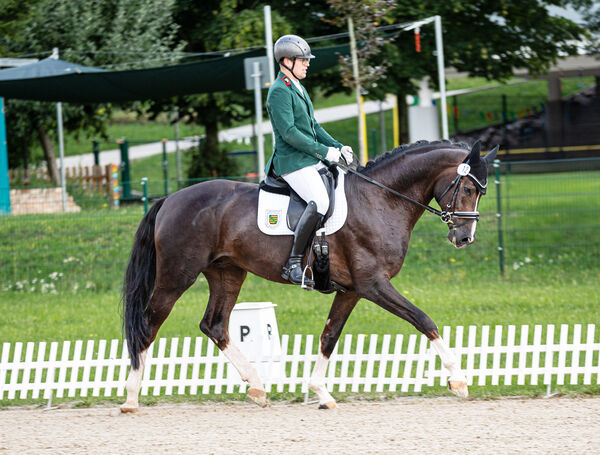 Boom und Ronny Thalmann in Seifersdorf