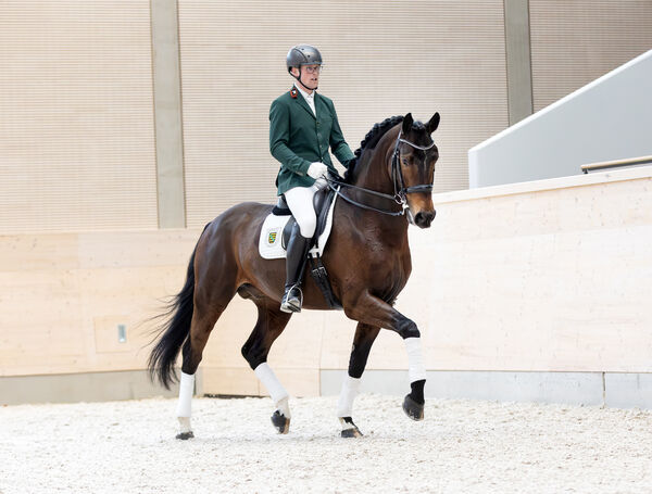 DON PLAISIER unter GW Ronny Thalmann