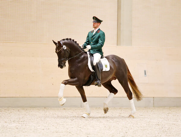 Vision Gold unter GW Richard Jordan