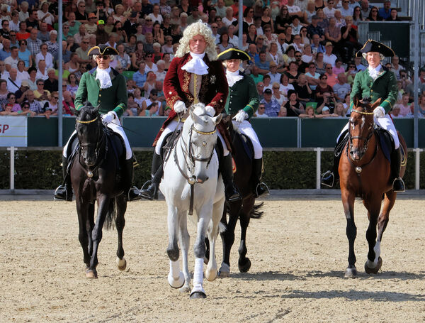 Dritte Hengstparade 2025